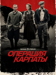 Операция «Карпаты»